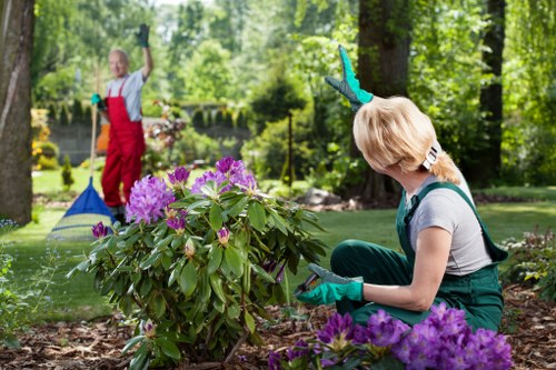 Highgate garden overview with gardener preparing tools