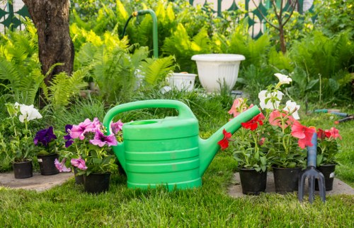 Lawn care services in Highgate garden
