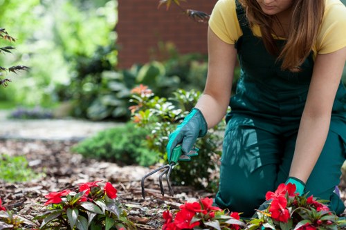 User navigating a Highgate gardening website with keyboard controls