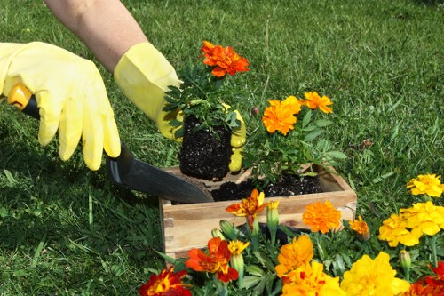 Professional gardener clearing garden debris