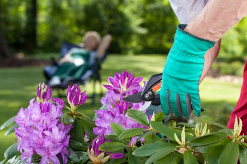 Highgate homeowner mowing a well-kept lawn