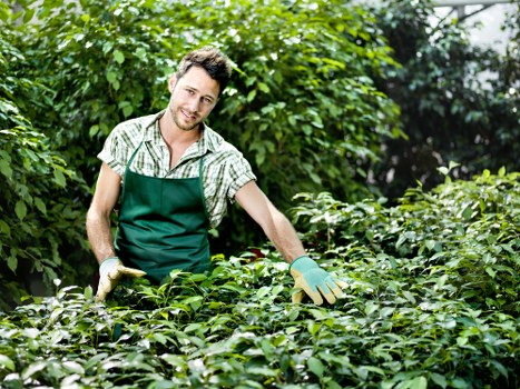 Eco-friendly garden waste disposal methods