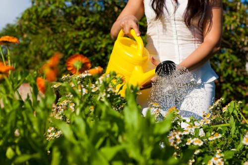 Gardener maintaining borders and plants in a Highgate garden