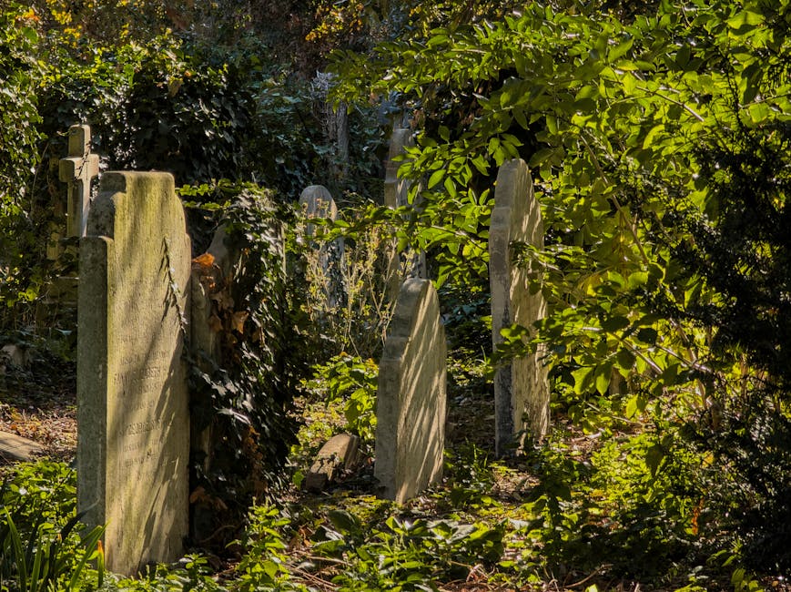A peaceful section of a cemetery garden featuring weathered stone headstones of various shapes and sizes standing amidst dense green foliage. The headstones display signs of moss and age, with some le